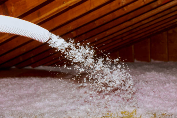 Best Energy Efficiency Solutions in Montegut, LA