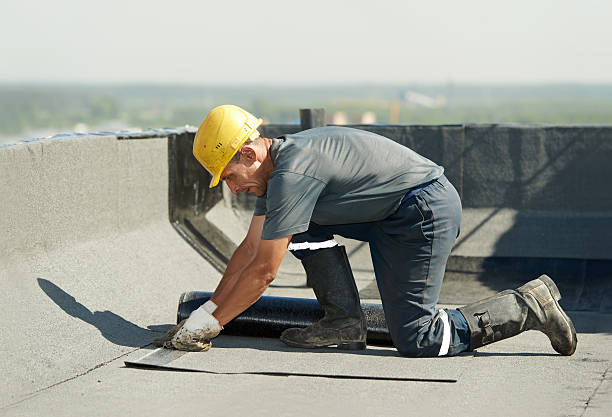 Best Insulation Installation Services in Montegut, LA